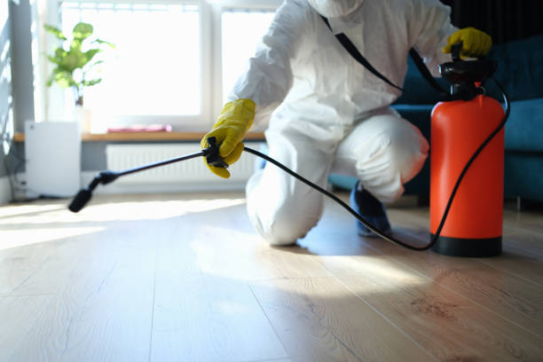 Reliable Biohazard contractor in Stockton, IL by Crime Scene Cleaner Online